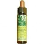 Grab Plantis nr 17 10 ml