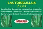 Lactobacillus Plus 60 kapsułek