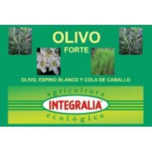 Olivo Forte Eco 60 kapsułek