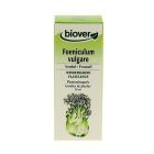 Foeniculum Vulgare Koper włoski 50 ml