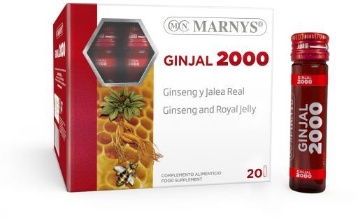 Ginjal 20 fiolek x 2000 mg