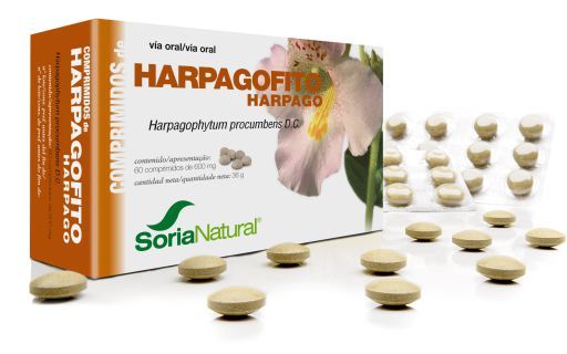 Harpagophito 60 tabletek 600 mg