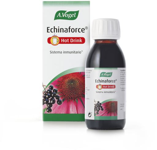 Echinaforce Gorący Napój 100 ml