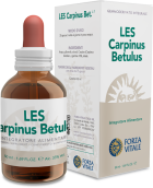 Carpinus Betulus Grab 50 ml