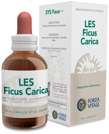 Ficus Carica Figa pospolita 50 ml