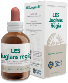 Juglans Regia Orzech Perski 50 ml