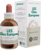 Oliwka Europejska 50 ml