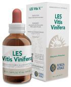 Winogrona Vitis Vinifera 50 ml