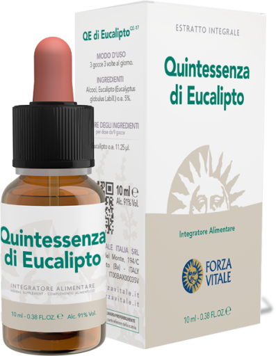 Kwintesencja Eukaliptus 10 ml