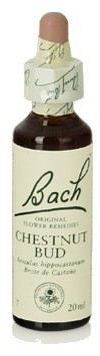 Bach 7 Kasztan Bud 20 ml