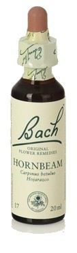 Bach 17 Grab 20 ml