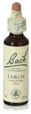 Bach 19 Modrzew 20 ml