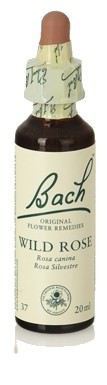 Bach 20 Dzika róża 20 ml