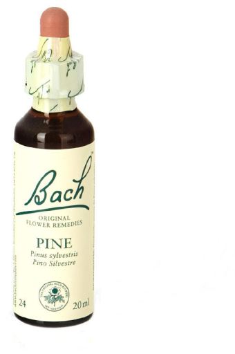 Bach 24 Sosna 20 ml