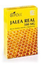 Bipole Royal Jelly 500mg