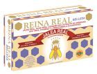 Queen Real Beauty 10 ml 20 fiolek