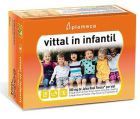 Vittal w galarecie Infantil 20 fiolek