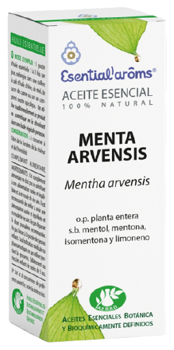 Arvensis Mint Essence 10Ml