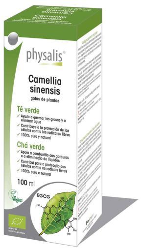 Wyciąg Camelia Sinensis 100 ml Bio