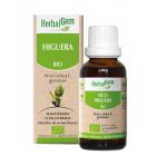 Yemoterapia Higuera 15 ml Bio