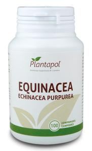 Echinacea 100 tabletek Eco