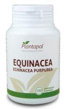 Echinacea 100 tabletek Eco