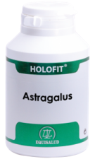 Kapsułki Holofit Astragalus