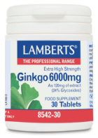 Ginkgo Biloba ekstra wysoka moc 6000 mg