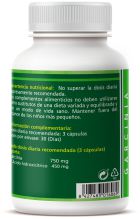 Garcinia 500 mg 90 kapsułek