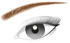 Kredka do brwi Pencil Brow Designer 303 Deep Brown