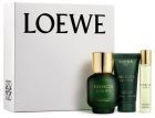 Essence Loewe Pack 3 sztuki