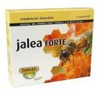 Galaretka Forte 16 ampułek x 10 ml