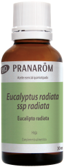 Liść eukaliptusa Radiata Bio 30 ml