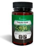 Fennel Capsudiet 40 kapsułek