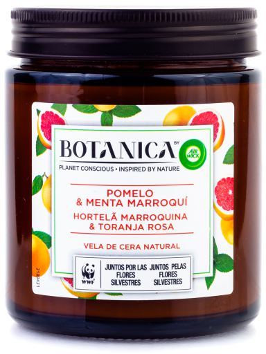 Aromatyczna świeca z naturalnego wosku Grapefruit i Maroccan Mint 205 gr