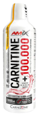 Karnityna 100 000 mg 1000 ml