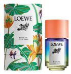 Paulas Ibiza Eclectic woda toaletowa w sprayu 100 ml