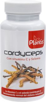 Cordyceps 60 kapsułek