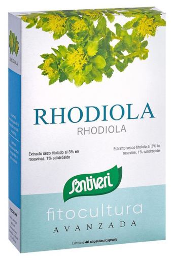 Rhodiola 40 kapsułek