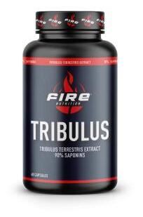 Tribulus Terrestris 90% Saponiny 60 Kapsułek