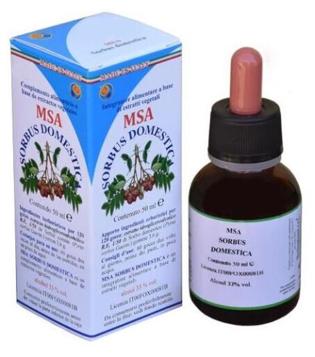 Msa Sorbus Domestica Pąki jarzębiny zwyczajnej 50 ml