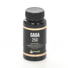 Gaba 250 mg 60 kapsułek