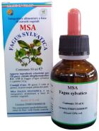 Pąki Msa Fagus Sylvatica 50 ml