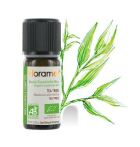 Olejek eteryczny z drzewa herbacianego 10 ml Bio