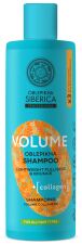 Oblepikha Collagen Volumizing Szampon 400 ml